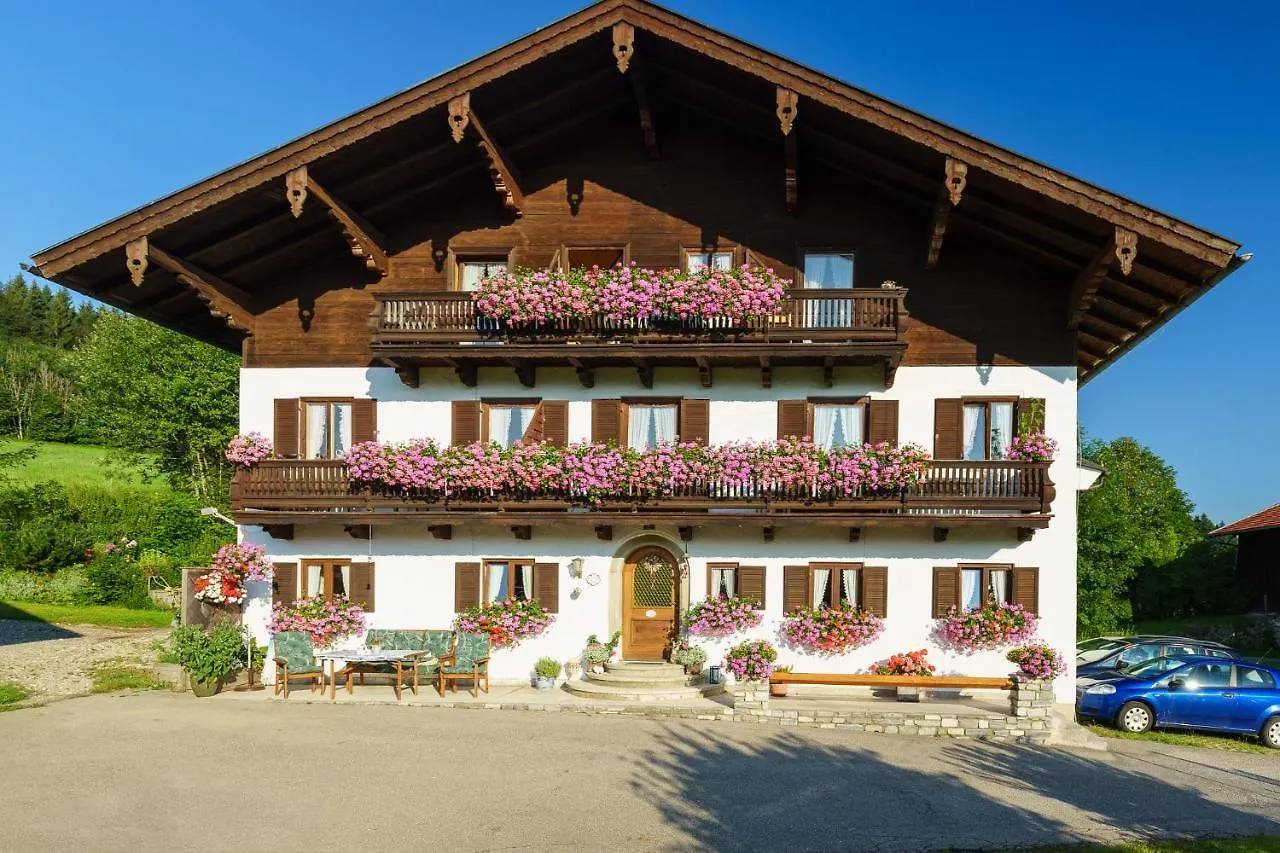 5 Familienhotels nahe dem Inzeller Moor, die überzeugen